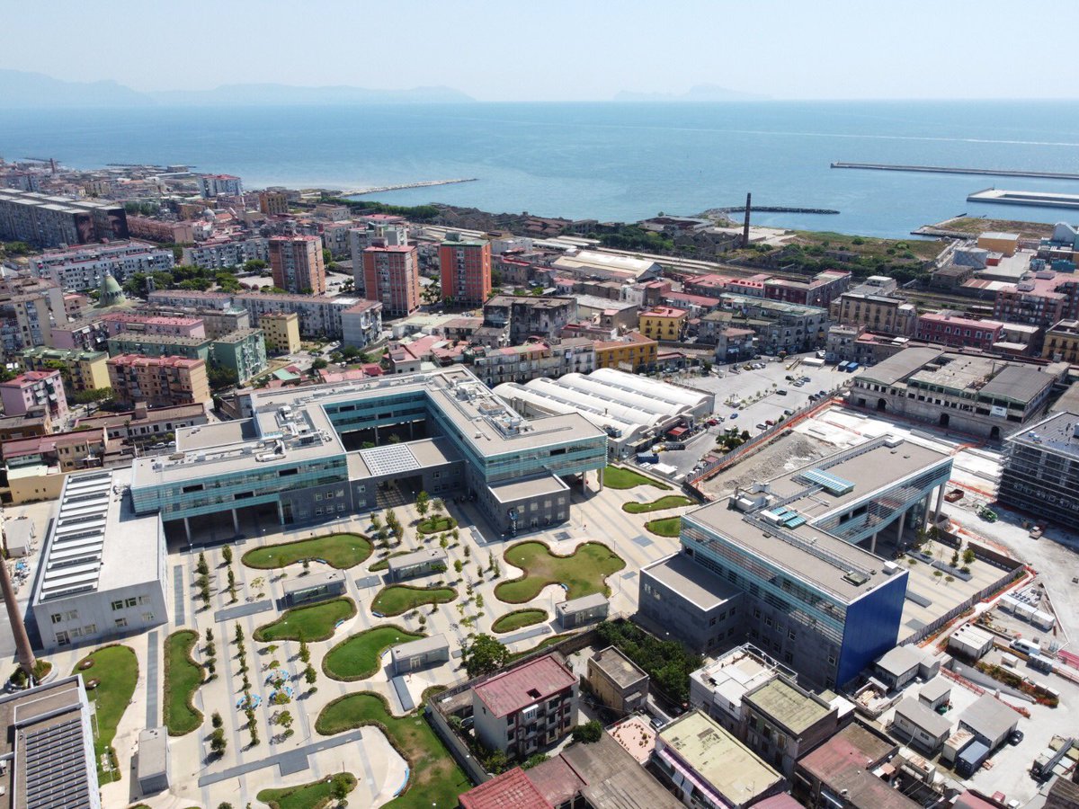 Unina Federico II tweet media