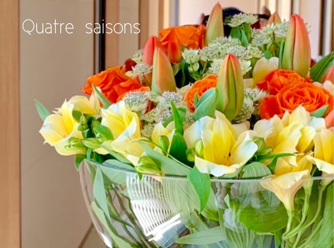 quatresaisons's tweet photo. Ｈｉʕ•̫͡•ིʔྀ...♪*ﾟ
welcome flowers 🟠🟡🟠

#Flowers #welcomeflowers
#tulips #ThankYou 
#QuatreSaisons 🦋
#カトルセゾン #太田市
#太田市花屋 https://t.co/FIRpMH3cbO