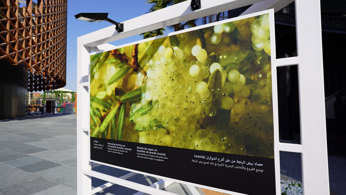 CanadaExpo's tweet photo. #Food, #Agriculture &amp; Livelihoods Week starts today! 🌱 🌾 🍃 

Together with the @AgMuseum, we brought a new photo exhibition to the #CanadaPavilion to celebrate #CdnAg.

Discover how we’re planting seeds with #TheFutureInMind: https://t.co/cLxuboCLor https://t.co/bxJZyhm4fM