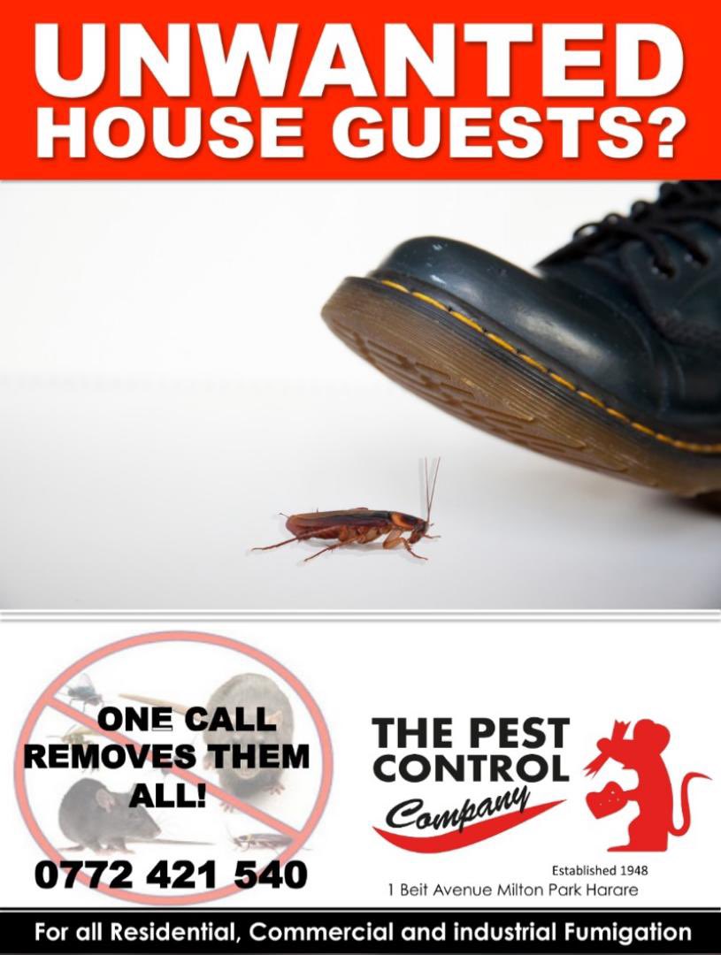 PestControlZW tweet picture