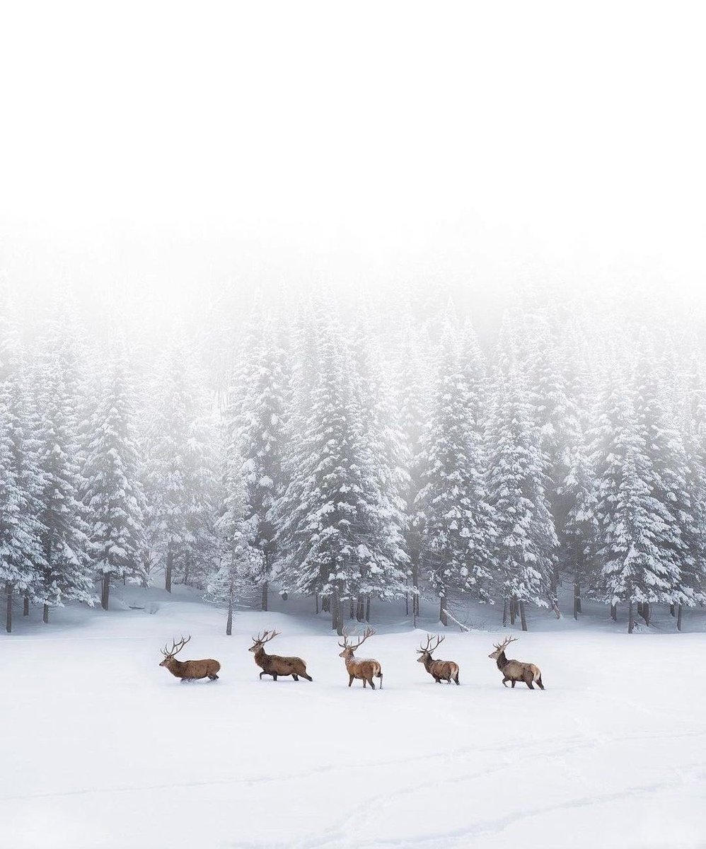 Quebec, Canada 🇨🇦