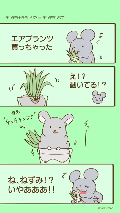 エアプランチュ #ウォンちゅう 