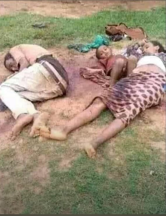 YoumABF2's tweet photo. February 19, 1937, Yekatit 12, a day that lives in infamy. 20 thousand Ethiopians killed in 3 days by Italian fascists after the attempt to kill Graziani.
Now after 80 years another massacre. This time innocent Ethiopians are being killed by #TPLFTerroristsgroup
#NoMoreTPLF https://t.co/UFgTfI45HC