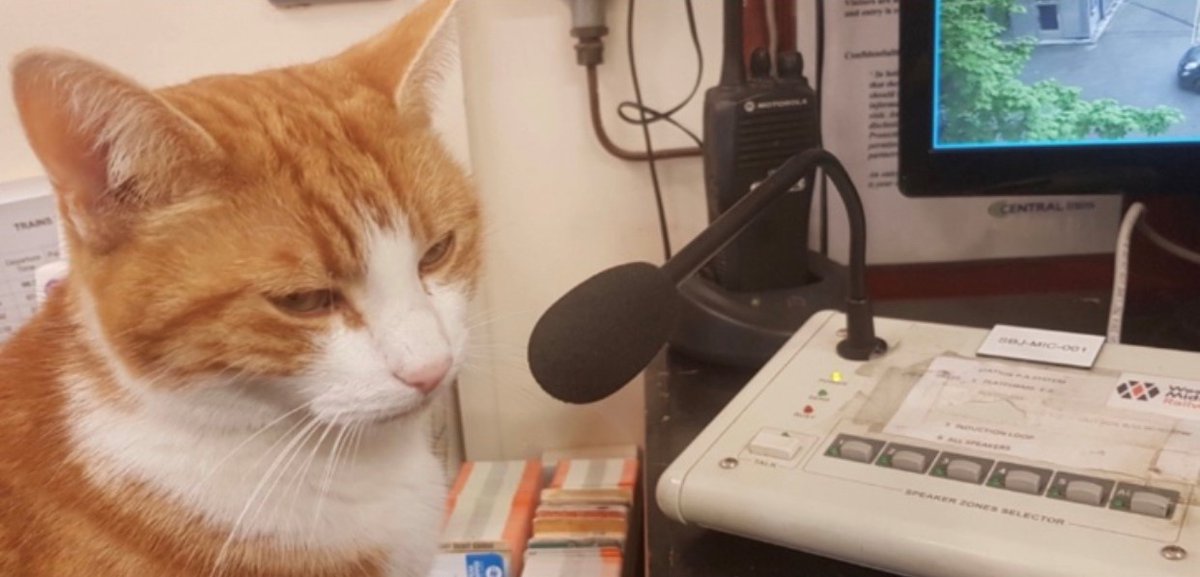 TheStourbridge's tweet image. Bing Bong !!

Storm Eunice is expected to be one of the biggest storms in recent years and we expect significant disruption to train services.
Please DO NOT use the train on Friday
Tickets will be valid for travel on Thursday or Saturday

Stay Safe All x
westmidlandsrailway.co.uk/do-not-travel