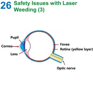 welaserproject's tweet image. Important things you need to know about #SafetyIssues with #laser weeding ⚡️

Three #PracticeAbstracts with all the details ⬇️

1⃣ welaser-project.eu/wp-content/upl…

2⃣ welaser-project.eu/wp-content/upl…

3⃣ welaser-project.eu/wp-content/upl…