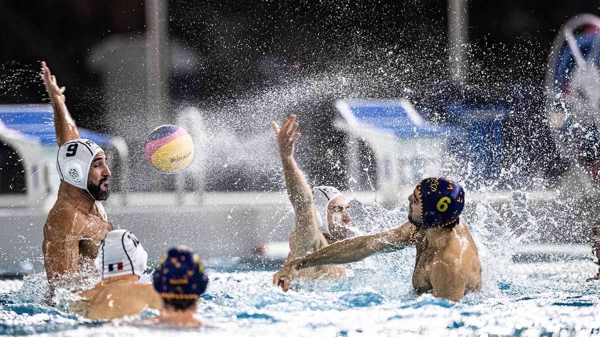 World Aquatics tweet media