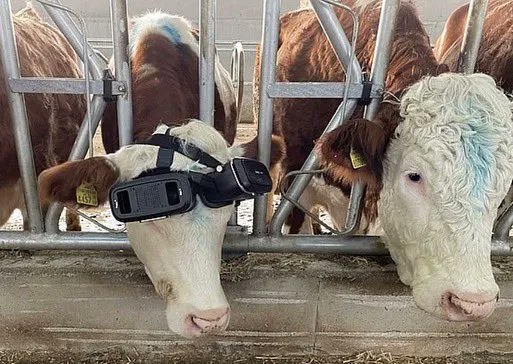 John Oberg tweet media