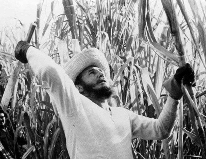 dZURDA_soy's tweet photo. En el mundo han existido pocas personas que hallan sido comandantes y a la misma vez trabajadores, nuestro Fidel es el más claro ejemplo de que el socialismo es humildad, paz, amor, y no el sistema que mantiene a las masas contentas con dinero. #CubaViveEnLasFamilias https://t.co/ZslLxITxYK
