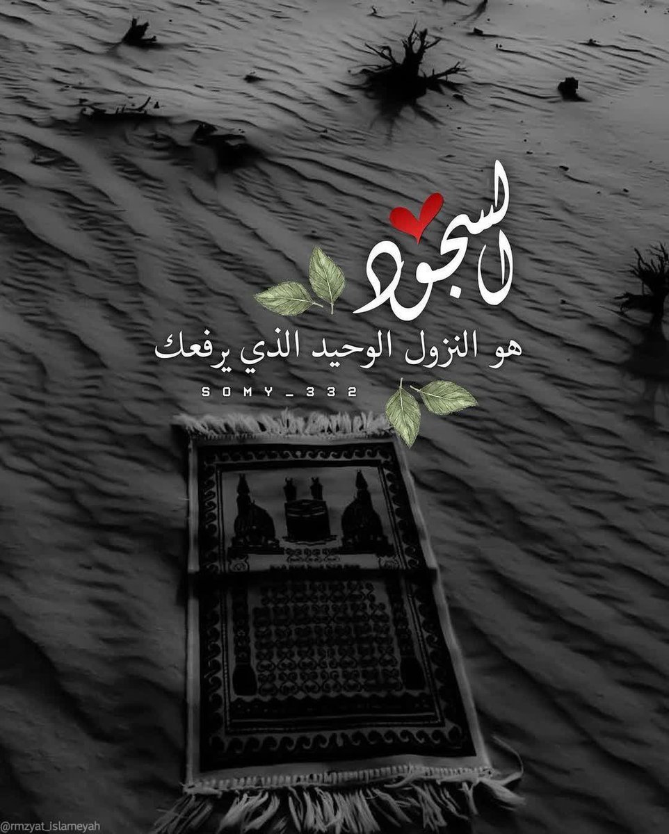 Elhalawee's tweet photo. https://t.co/hJd0qKZxZD