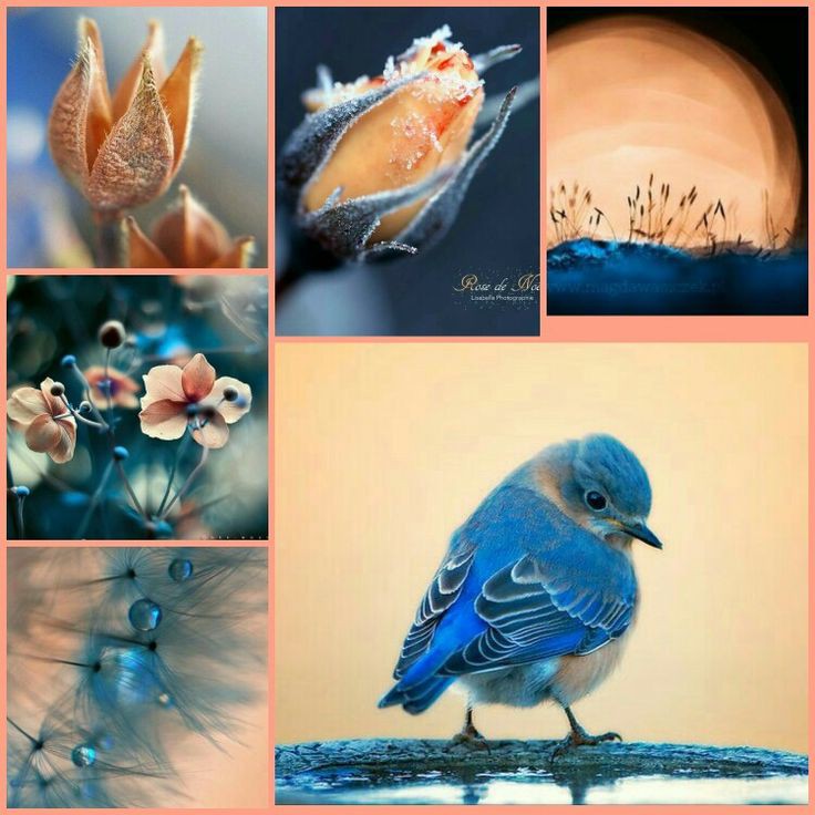 🌞 Sophie S 🌴 (@szentandrassym) on Twitter photo <a href="/PattiBrookd/">Patti Brookd</a> <a href="/sheriran95/">sheer_iran</a> <a href="/Jacquel6176/">Jacqueline</a> <a href="/DerekPa30582481/">Derek Paterson</a> <a href="/maryrhoton/">Motormouth 2</a> @crosiglia <a href="/Jill_Gregory/">Jill Gregory</a> <a href="/annamariakuch/">Anna Maria Kuch</a> <a href="/shinunao2/">naonao shakura🌸🌸🌸</a> <a href="/Alexa17101614/">ALEXA 🍃💋🍃</a> <a href="/Alaayous3/">alaa amy</a> <a href="/steligarcia/">Sonia Garcia</a> <a href="/PolishRoyalGoat/">Ana and her Goat</a> <a href="/BruynChantal/">De Bruyn Chantal</a> <a href="/Dipanka82446090/">Dipankar Roy</a> <a href="/drsurendrpathak/">Dr Surendra Pathak</a> <a href="/Roshank56856946/">Roshankhan</a> <a href="/Gloria91191464/">SEABLUE 💙 💙</a> <a href="/VelvetSkye/">Velvet Skye™© 🇨🇦 ❤️💪</a> <a href="/putopreto799/">Carlos Domingos</a> @GarauPina @YousufHadiEng <a href="/heroldbarton/">herold barton</a> <a href="/saulastam/">Sastam_25</a> <a href="/s_szama/">s.s.zama Alis Munna</a> <a href="/edusapiranga/">Educoloradosap</a> <a href="/19marino74/">Marino Lo Chiatto</a> <a href="/Hrishikesh_1409/">Hrishikesh</a> <a href="/nighthawkgeoff/">Geoff Morris - #FBPE</a> <a href="/marinavibu609g/">🌻MARINA🌻</a> <a href="/DeuxClown/">Spécialiste des photos de vacances</a> <a href="/HossainAnamika/">Anamika hossain</a> <a href="/MarkTwa01197091/">Mark Twain</a> <a href="/CarlosD55587122/">Carlos Domingos</a> <a href="/digitalgypsie/">Mark Duncan🇺🇸</a> <a href="/kevinandrewtod5/">kevin andrew todd</a> <a href="/TheLadyDyan/">LADY D</a> <a href="/WomanMother1/">Woman/Mother73</a> <a href="/CarlosD98904330/">Carlos Domingos</a> <a href="/TamiK_Colorado/">Tami K</a> <a href="/ChefYousuf/">ζん乇キ リԾЦ丂Цキ</a> <a href="/RUL_for_friends/">RUL for the friends 👍🏼💋💖</a> <a href="/FARESAbdelkad19/">FARÉS 🏇</a> <a href="/SwanSocialism/">Samia</a> <a href="/MOHA2211sa/">ابويعقوب</a> @PhGalimba65 <a href="/OfficielCha/">Charlotte Couleau 🎶🎤🎹❤️</a> <a href="/BSuhic/">Jasminka</a> <a href="/MacbethMacbet12/">Macbeth Macbeth</a> <a href="/PankajT04765688/">Pankaj Thapliyal</a> Good Morning dear Patti. Have a wonderful Thursday to you and everyone. Greetings and Blessings. <a href="/PattiBrookd/">Patti Brookd</a> <a href="/sheriran95/">sheer_iran</a> <a href="/Jacquel6176/">Jacqueline</a> <a href="/DerekPa30582481/">Derek Paterson</a> <a href="/maryrhoton/">Motormouth 2</a> @crosiglia <a href="/Jill_Gregory/">Jill Gregory</a> <a href="/annamariakuch/">Anna Maria Kuch</a> <a href="/shinunao2/">naonao shakura🌸🌸🌸</a> <a href="/Alexa17101614/">ALEXA 🍃💋🍃</a> <a href="/Alaayous3/">alaa amy</a> <a href="/steligarcia/">Sonia Garcia</a> <a href="/PolishRoyalGoat/">Ana and her Goat</a> <a href="/BruynChantal/">De Bruyn Chantal</a> <a href="/Dipanka82446090/">Dipankar Roy</a> <a href="/drsurendrpathak/">Dr Surendra Pathak</a> <a href="/Roshank56856946/">Roshankhan</a> <a href="/Gloria91191464/">SEABLUE 💙 💙</a> <a href="/VelvetSkye/">Velvet Skye™© 🇨🇦 ❤️💪</a> <a href="/putopreto799/">Carlos Domingos</a> @GarauPina @YousufHadiEng <a href="/heroldbarton/">herold barton</a> <a href="/saulastam/">Sastam_25</a> <a href="/s_szama/">s.s.zama Alis Munna</a> <a href="/edusapiranga/">Educoloradosap</a> <a href="/19marino74/">Marino Lo Chiatto</a> <a href="/Hrishikesh_1409/">Hrishikesh</a> <a href="/nighthawkgeoff/">Geoff Morris - #FBPE</a> <a href="/marinavibu609g/">🌻MARINA🌻</a> <a href="/DeuxClown/">Spécialiste des photos de vacances</a> <a href="/HossainAnamika/">Anamika hossain</a> <a href="/MarkTwa01197091/">Mark Twain</a> <a href="/CarlosD55587122/">Carlos Domingos</a> <a href="/digitalgypsie/">Mark Duncan🇺🇸</a> <a href="/kevinandrewtod5/">kevin andrew todd</a> <a href="/TheLadyDyan/">LADY D</a> <a href="/WomanMother1/">Woman/Mother73</a> <a href="/CarlosD98904330/">Carlos Domingos</a> <a href="/TamiK_Colorado/">Tami K</a> <a href="/ChefYousuf/">ζん乇キ リԾЦ丂Цキ</a> <a href="/RUL_for_friends/">RUL for the friends 👍🏼💋💖</a> <a href="/FARESAbdelkad19/">FARÉS 🏇</a> <a href="/SwanSocialism/">Samia</a> <a href="/MOHA2211sa/">ابويعقوب</a> @PhGalimba65 <a href="/OfficielCha/">Charlotte Couleau 🎶🎤🎹❤️</a> <a href="/BSuhic/">Jasminka</a> <a href="/MacbethMacbet12/">Macbeth Macbeth</a> <a href="/PankajT04765688/">Pankaj Thapliyal</a> Good Morning dear Patti. Have a wonderful Thursday to you and everyone. Greetings and Blessings.