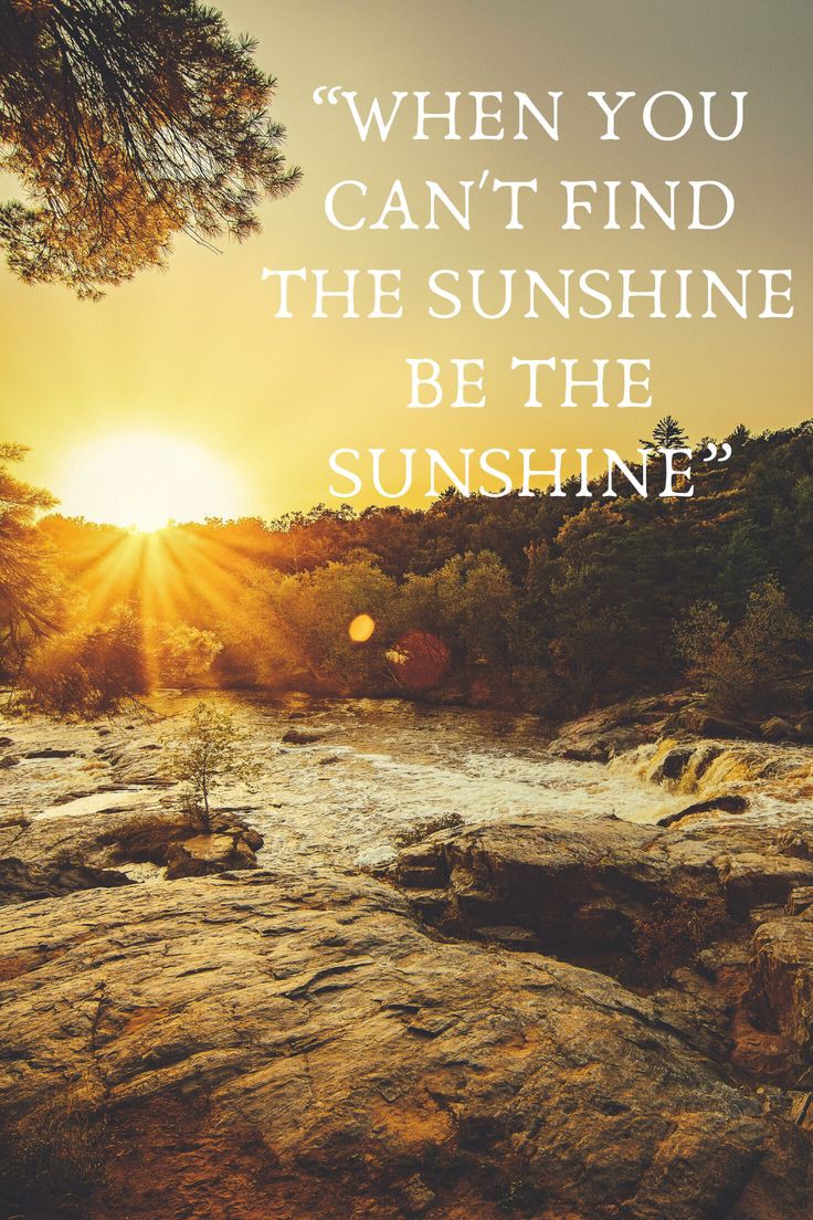 🌞 Sophie S 🌴 (@szentandrassym) on Twitter photo <a href="/MyYellowDreams2/">My Yellow Dreams</a> <a href="/Titas37/">Benito -</a> <a href="/TeresaR86980558/">Teresa Roberts</a> <a href="/HarcourtDoug/">Doug</a> <a href="/ManiarMuhammad/">Aafiny MZM</a> <a href="/Adele47018578/">Adele & Art</a> <a href="/rpskataria/">Ramphal Kataria رامپھل کٹاریا</a> <a href="/BabyGo2014/">Baby Go</a> <a href="/debratankersle1/">debra tankersley</a> @gerrinnesmac <a href="/pkamla1/">Kamla</a> <a href="/Muhamma53074277/">Engr Muhammad Naeem Khan.</a> <a href="/kalimullah2/">Kalimullah</a> <a href="/unklpetey/">UNKL PETEY JINGOIST</a> @crosiglia @GarauPina <a href="/putopreto799/">Carlos Domingos</a> <a href="/BruynChantal/">De Bruyn Chantal</a> <a href="/JeanetteJoy/">Jeanette JOY☮️</a> <a href="/maryrhoton/">Motormouth 2</a> <a href="/nighthawkgeoff/">Geoff Morris - #FBPE</a> <a href="/SKID1144/">OLIVERESKRIDGE</a> <a href="/MichelleHillie9/">Michelle@Ryder</a> <a href="/Cambuci60/">Arty</a> <a href="/B_D_Jha/">B D Jha</a> <a href="/PSeabra52/">Parrot seabra52</a> <a href="/DerekPa30582481/">Derek Paterson</a> <a href="/CarlosD55587122/">Carlos Domingos</a> <a href="/NinePetanque/">françoise</a> <a href="/salahsa62527100/">Kamal Ali</a> <a href="/loveGoldenHeart/">💛Christina Goebel, M.A.</a> <a href="/QL1wBZCUsCudbqm/">バイク</a> @BarbaraLoraineN <a href="/duabusan/">Alberto</a> <a href="/CarlosD98904330/">Carlos Domingos</a> <a href="/pemamasih1/">Pema@masih</a> <a href="/kelebek_mavi10/">🦋KelebeK🦋</a> <a href="/663Renegade/">Anna</a> <a href="/VanCity6042/">🇨🇦🇨🇦VanCity-604🇨🇦🇨🇦</a> <a href="/LudmilaKliegl/">Ludmila Kliegl..*( Lida)</a> <a href="/time_tested123/">HK</a> @WhatYouWantNowU @helensmomma <a href="/Castle_Peach/">Peaches 🏳️🌈</a> <a href="/CarlosD09817179/">Carlos DOMINGOS</a> <a href="/Jonspreadlove/">Jon Snow not bc I am cool but bc I KNOW NOTHING</a> <a href="/CarlosD51140632/">Carlos Domingos</a> Yes...have a wonderful day to all of you 🌞 <a href="/MyYellowDreams2/">My Yellow Dreams</a> <a href="/Titas37/">Benito -</a> <a href="/TeresaR86980558/">Teresa Roberts</a> <a href="/HarcourtDoug/">Doug</a> <a href="/ManiarMuhammad/">Aafiny MZM</a> <a href="/Adele47018578/">Adele & Art</a> <a href="/rpskataria/">Ramphal Kataria رامپھل کٹاریا</a> <a href="/BabyGo2014/">Baby Go</a> <a href="/debratankersle1/">debra tankersley</a> @gerrinnesmac <a href="/pkamla1/">Kamla</a> <a href="/Muhamma53074277/">Engr Muhammad Naeem Khan.</a> <a href="/kalimullah2/">Kalimullah</a> <a href="/unklpetey/">UNKL PETEY JINGOIST</a> @crosiglia @GarauPina <a href="/putopreto799/">Carlos Domingos</a> <a href="/BruynChantal/">De Bruyn Chantal</a> <a href="/JeanetteJoy/">Jeanette JOY☮️</a> <a href="/maryrhoton/">Motormouth 2</a> <a href="/nighthawkgeoff/">Geoff Morris - #FBPE</a> <a href="/SKID1144/">OLIVERESKRIDGE</a> <a href="/MichelleHillie9/">Michelle@Ryder</a> <a href="/Cambuci60/">Arty</a> <a href="/B_D_Jha/">B D Jha</a> <a href="/PSeabra52/">Parrot seabra52</a> <a href="/DerekPa30582481/">Derek Paterson</a> <a href="/CarlosD55587122/">Carlos Domingos</a> <a href="/NinePetanque/">françoise</a> <a href="/salahsa62527100/">Kamal Ali</a> <a href="/loveGoldenHeart/">💛Christina Goebel, M.A.</a> <a href="/QL1wBZCUsCudbqm/">バイク</a> @BarbaraLoraineN <a href="/duabusan/">Alberto</a> <a href="/CarlosD98904330/">Carlos Domingos</a> <a href="/pemamasih1/">Pema@masih</a> <a href="/kelebek_mavi10/">🦋KelebeK🦋</a> <a href="/663Renegade/">Anna</a> <a href="/VanCity6042/">🇨🇦🇨🇦VanCity-604🇨🇦🇨🇦</a> <a href="/LudmilaKliegl/">Ludmila Kliegl..*( Lida)</a> <a href="/time_tested123/">HK</a> @WhatYouWantNowU @helensmomma <a href="/Castle_Peach/">Peaches 🏳️🌈</a> <a href="/CarlosD09817179/">Carlos DOMINGOS</a> <a href="/Jonspreadlove/">Jon Snow not bc I am cool but bc I KNOW NOTHING</a> <a href="/CarlosD51140632/">Carlos Domingos</a> Yes...have a wonderful day to all of you 🌞