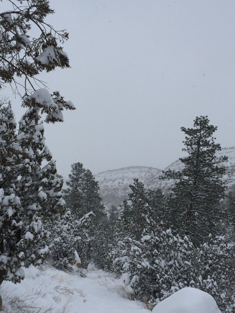 Bandelier National Monument will be closed today, February 17, 2022, due to snow and icy conditions. 

NPS Photo.

#BandelierNationalMonument #Bandelier #FindYourPark #EncuentraTuParque