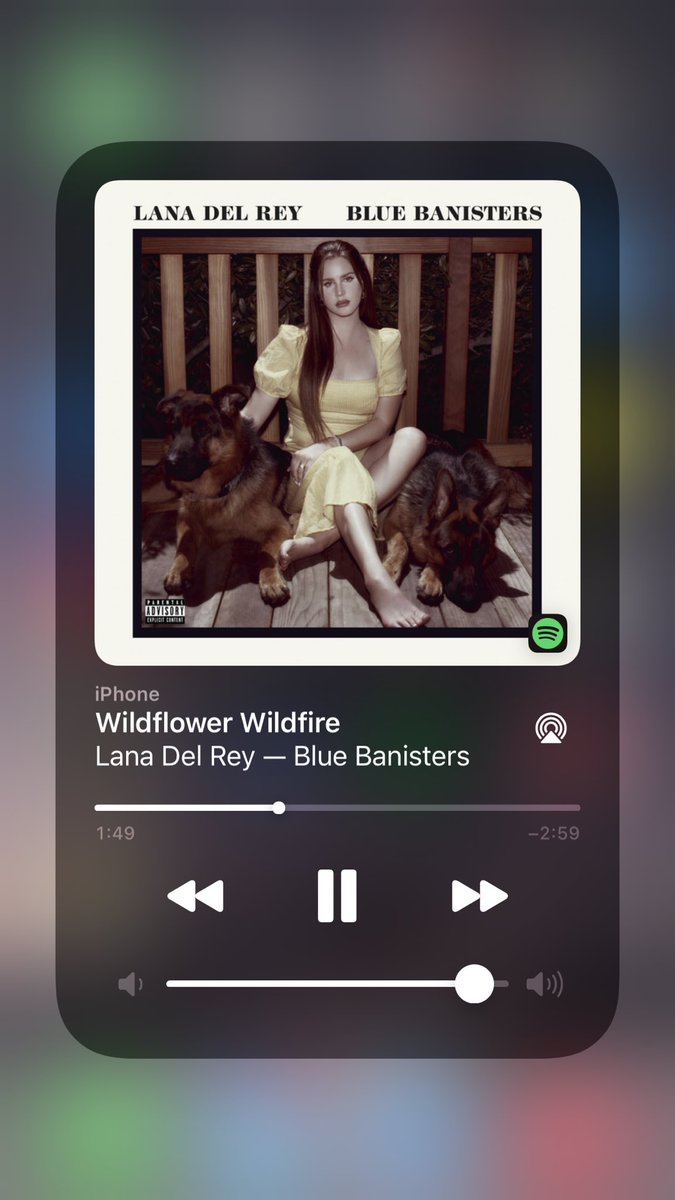 one of her best songs lyrically