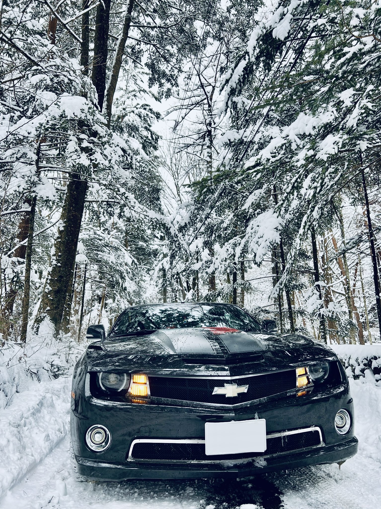 Camaro 8411 雪の降った三連休のときのやつ 新雪の中 軽井沢で撮るといいよ B 行くまでにめっちゃ滑った アメ車 カマロ シボレー 軽井沢 T Co Zlxyl2cddh Twitter