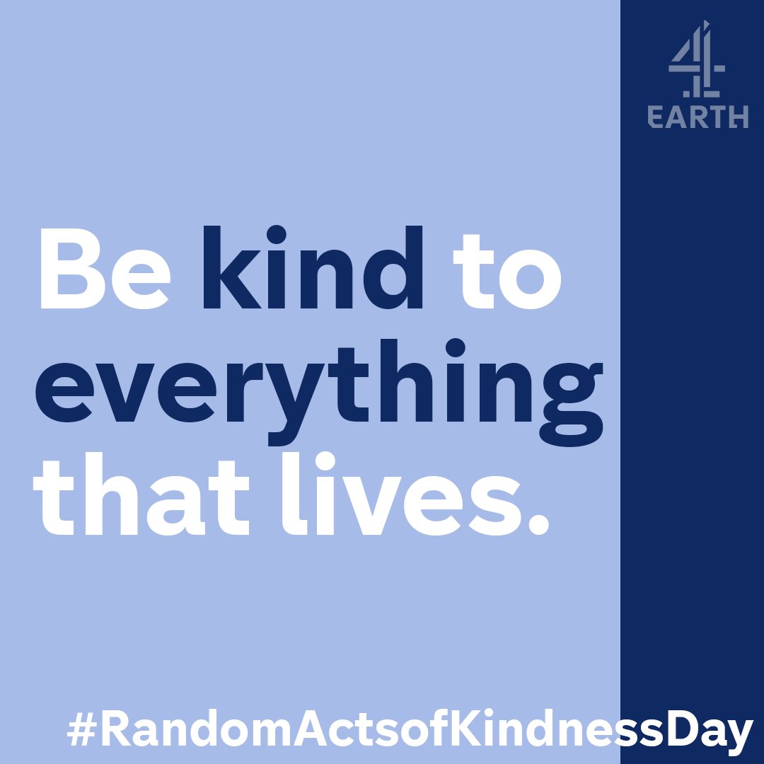 Be kind to Earth.

#MakeKindnessTheNorm #RandomActsofKindnessDay