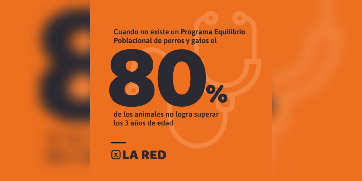 Red de Políticas Públicas tweet media