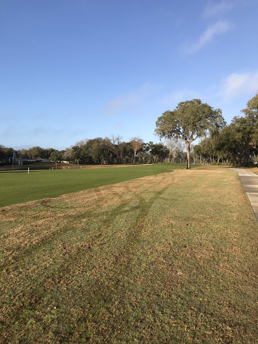 Things are looking great for this weekend’s Wildwood Open, 5k for the winner, enter now