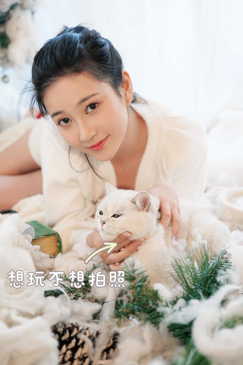 刚刚翻到这张照片，山竹四个爪爪写满了抗拒🤣🤣🤣大概是因为那天早上刚把粮给她倒碗里，但是打的车到了，就嗖的一下装包里带去拍照了，给她带了吃的，到了生我气不吃👀一整个不配合 https://t.co/g1mOS1nuux