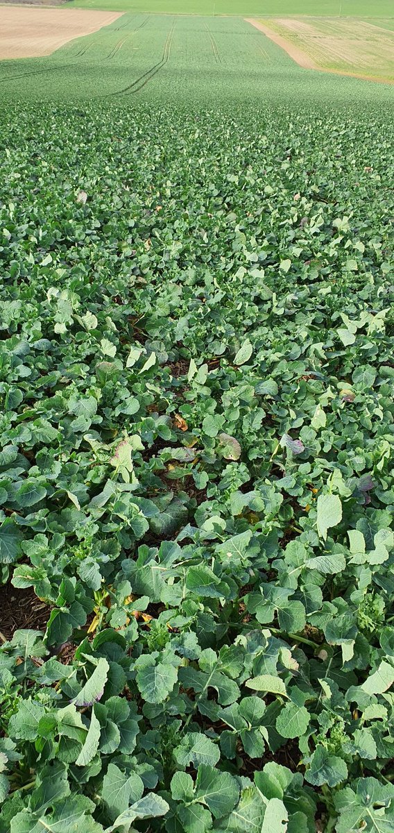 legendre christophe tweet media