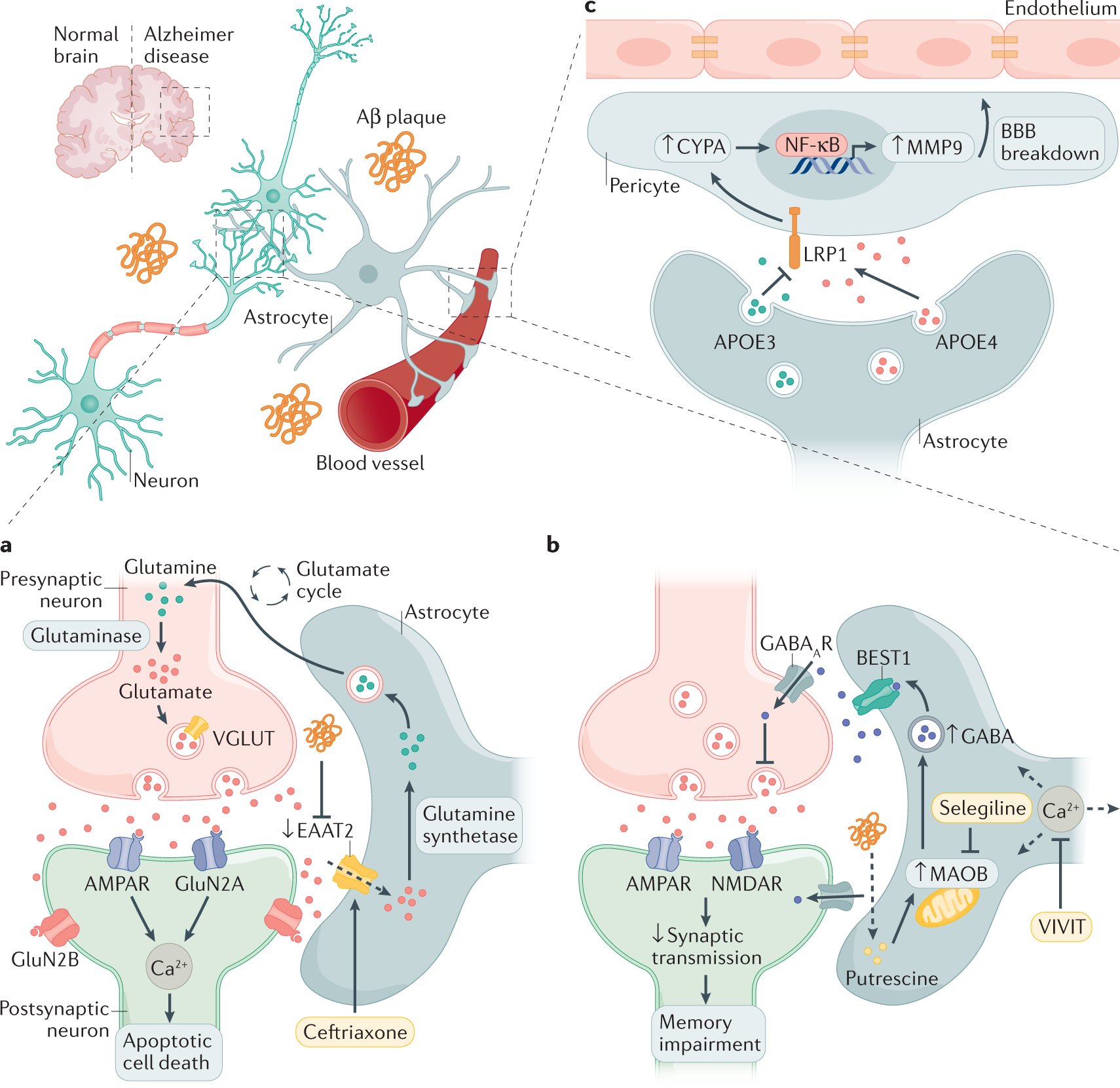 Nature Reviews Drug Discovery on Twitter "Function and therapeutic