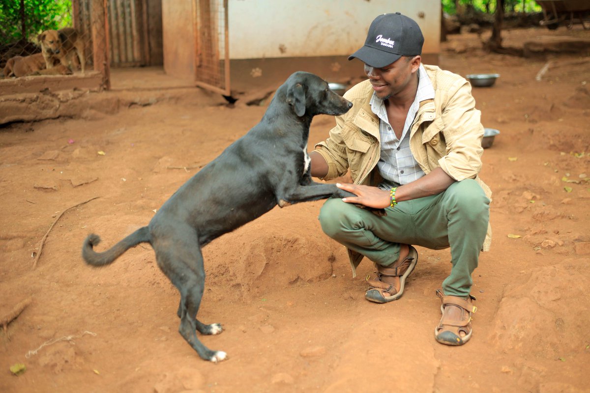 Doge Pound 🐶 tweet media