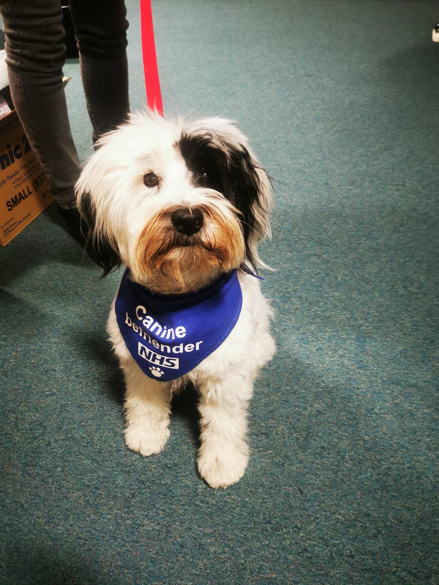 SWYT Forensic Outreach Liaison Service LD/A (FOLS) tweet media