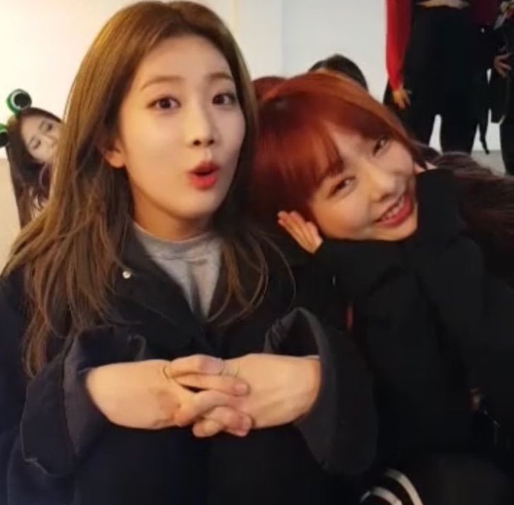 lq vivi (@lqpicsofvivi) on Twitter photo 