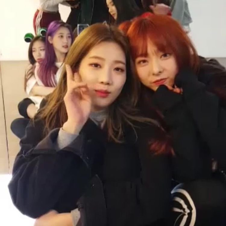 lq vivi tweet media