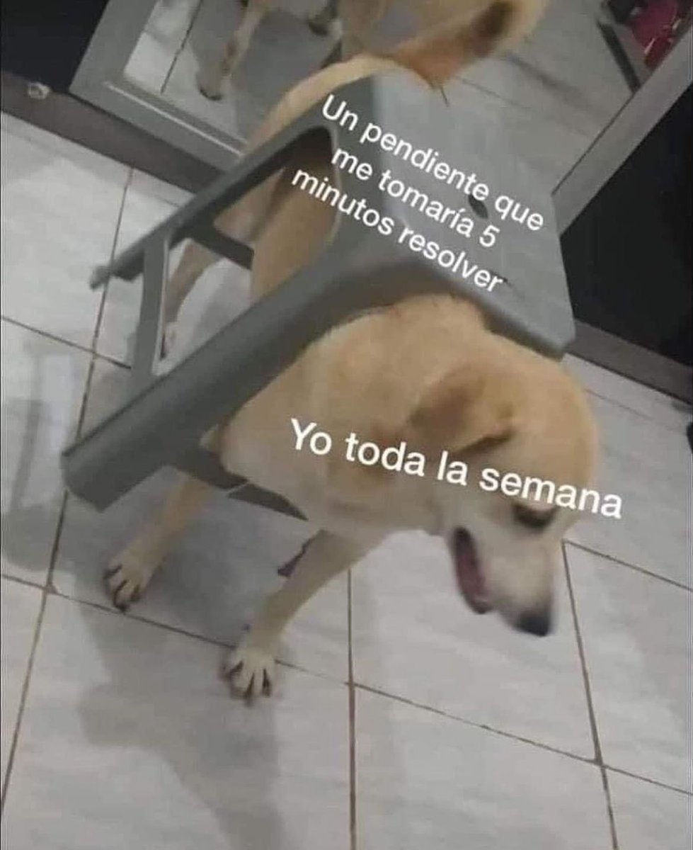 Yo merengues. 😎