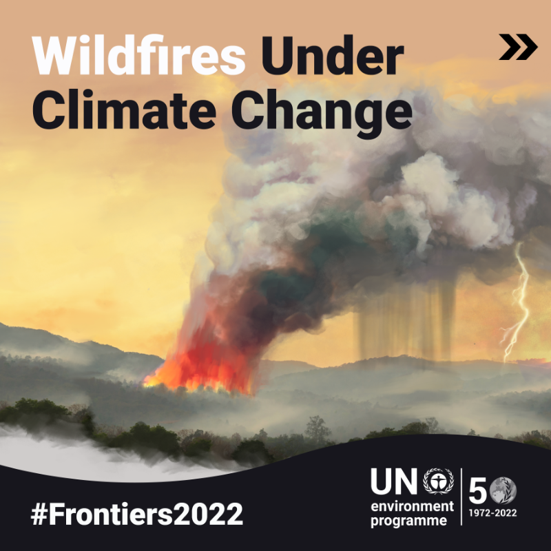 UNFCCC's tweet photo. Wildfires are becoming much larger, more dangerous and more likely to occur as a result of #ClimateChange and other human influence. 

Explore solutions to this critical issue in @UNEP's #Frontiers2022 report.
