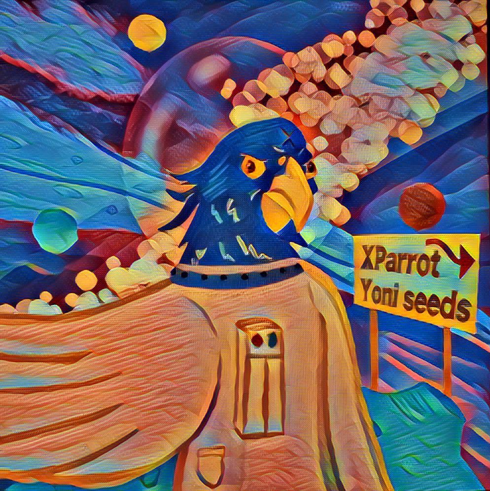 🦜XParrots / XRPL tweet media