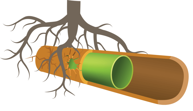 All our #drain #lining and #patch #lining options promise you minimal fuss, mess and stress. If you have #drainage #issues that need resolving, get in touch on 0845 1949200.
#Warwickshire #Warwick #Leicester #Birmingham #Coventry #Wolverhampton #Nuneaton #Tamworth #midlands