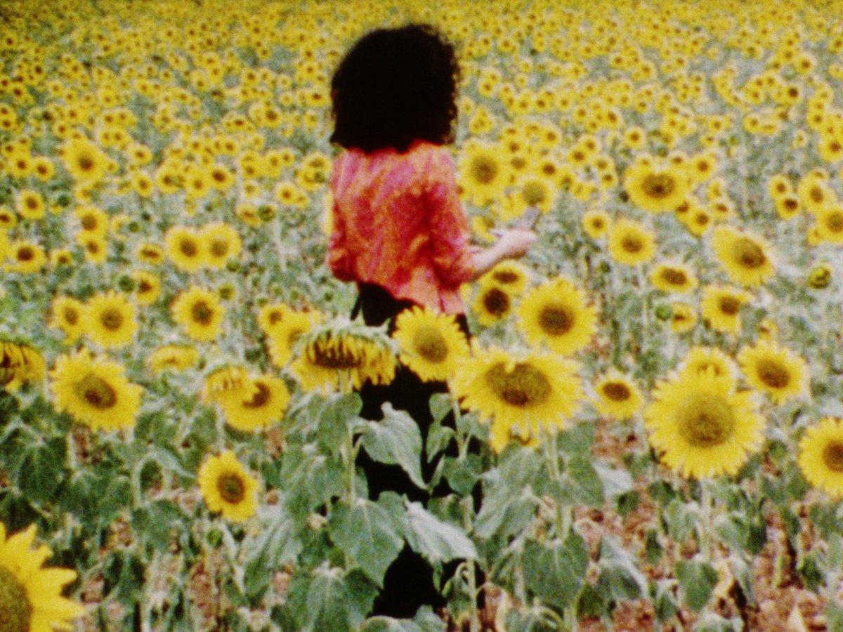 The Essay Film Festival 2022 programme is now LIVE!
 
The festival will take place between 19 March and 23 April across London as well as online via our dedicated Screening Room.

To book your place and explore this year's programme visit: essayfilmfestival.com