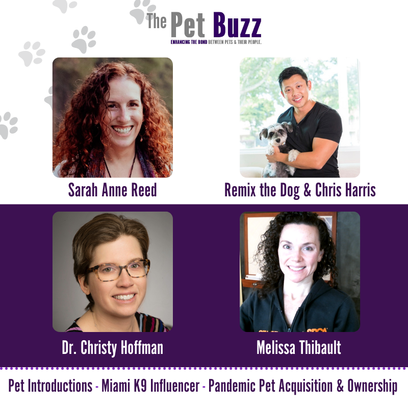 The Pet Buzz tweet media