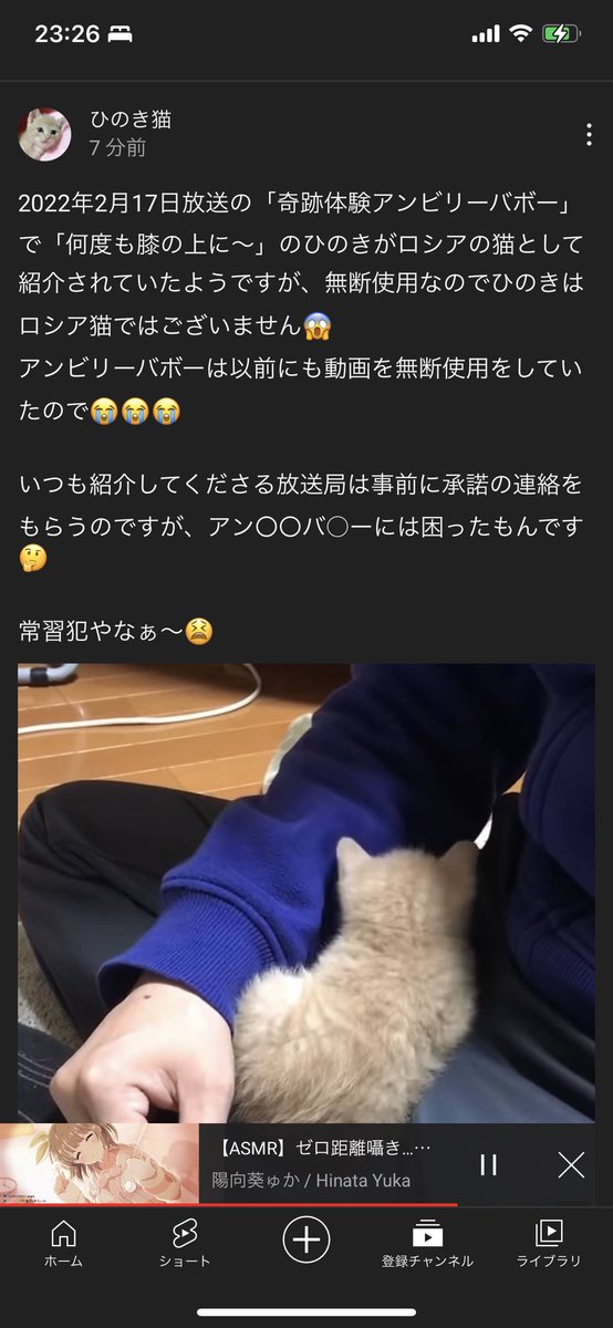 アンビリバボーの ぽい ぽくない コーナーの評判がよくない Togetter