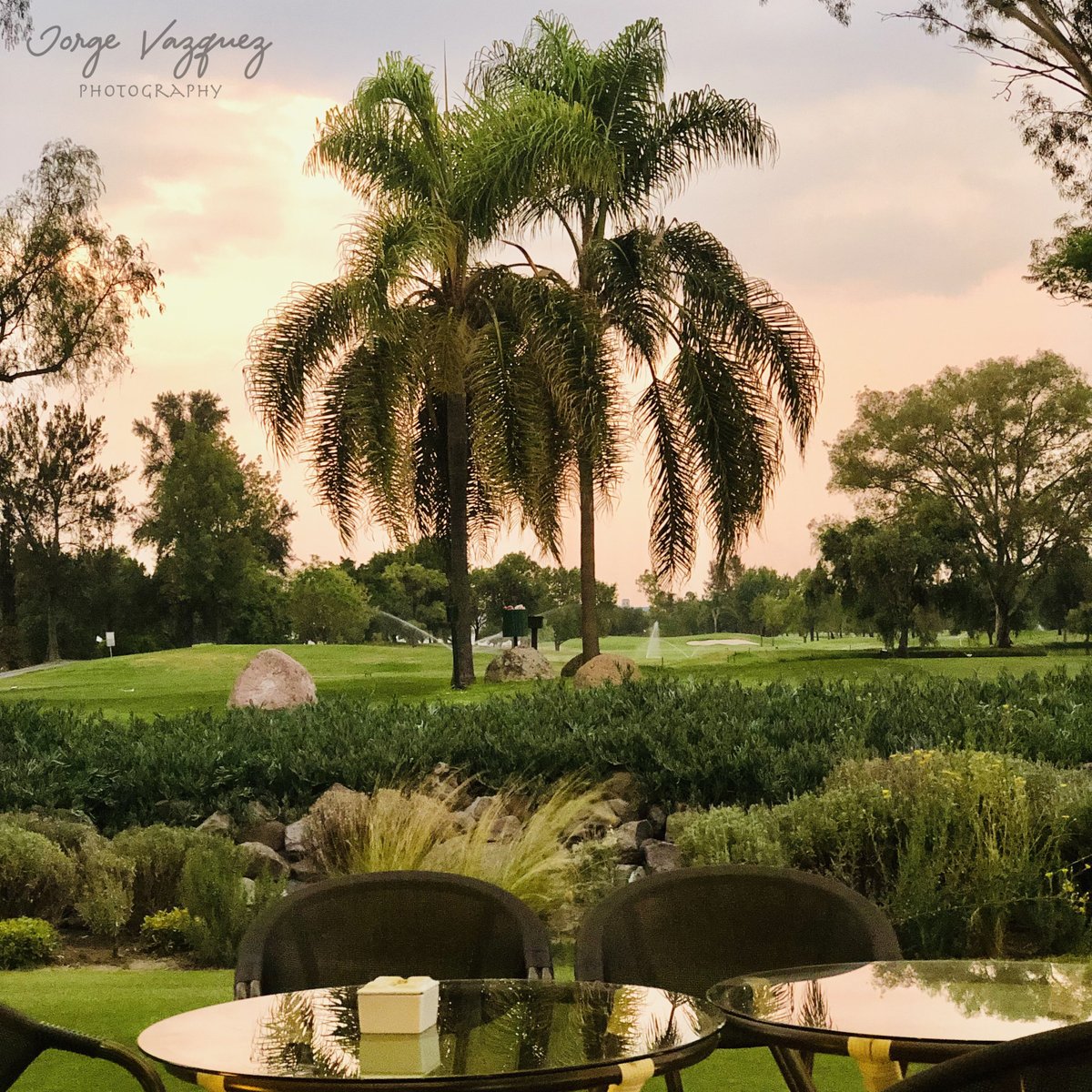 Jorgevazquezph's tweet photo. good day, greet with a good photo

#fotography #NFT #NFTs #nftphotography #NFTartist #nftart #NFTCommunity #nftcollector #Cryptoart https://t.co/vBHga5piMF