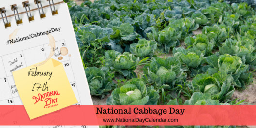 When you stop to consider the foods you eat, cabbage truly is beneficial for many reasons. Come discover the versatility of #NationalCabbageDay for meals and other recipes.
nationaldaycalendar.com/national-cabba…