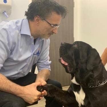 Reach out a hand or a paw to as many as you can. The smallest act of kindness goes a long way x #RandomActsOfKindness