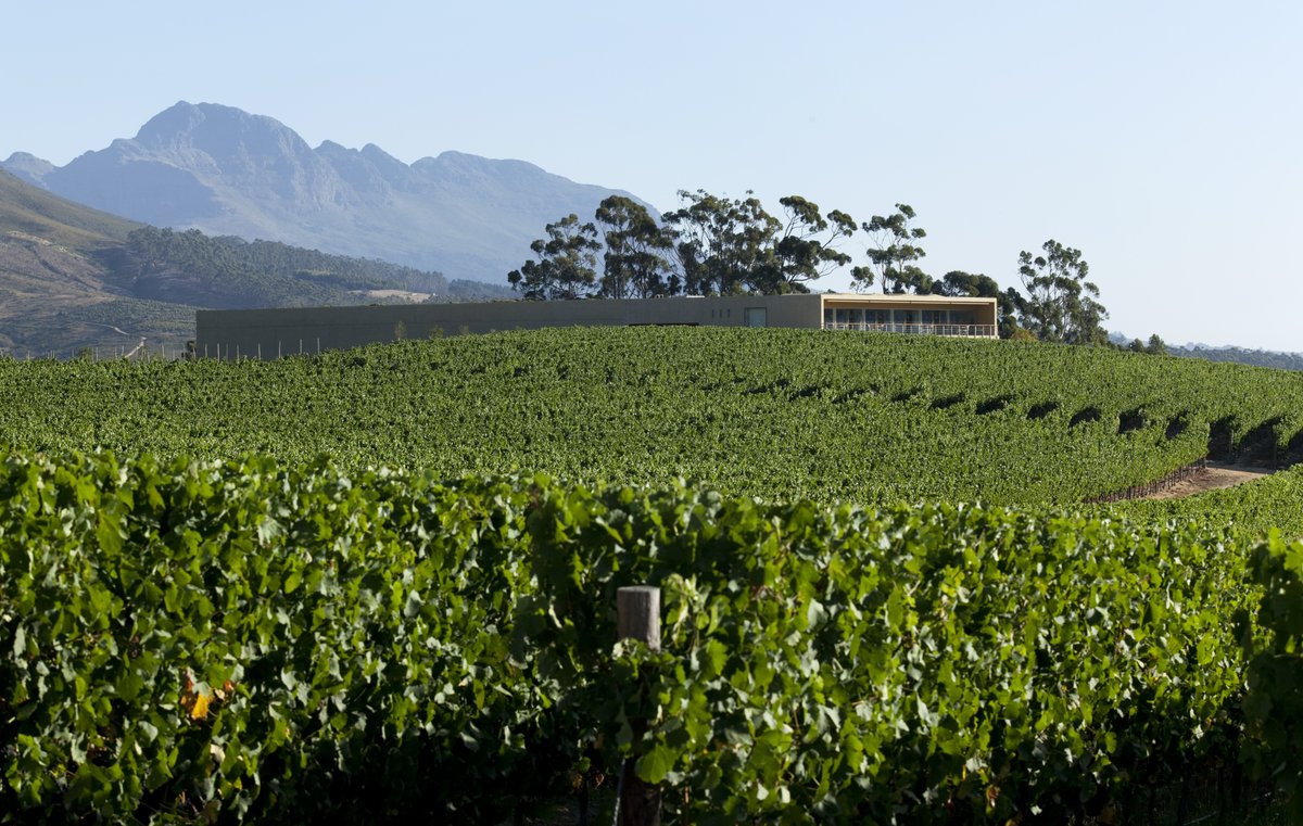 The beauty of South Africa. <a href="/GlenellyEstate/">Glenelly Estate</a>'s views are unmatched. #Harvest #Winemaking #Wine #Farm #Glenelly #DrinkSouthAfrican #CapeClassics #FineWinesFor30Years