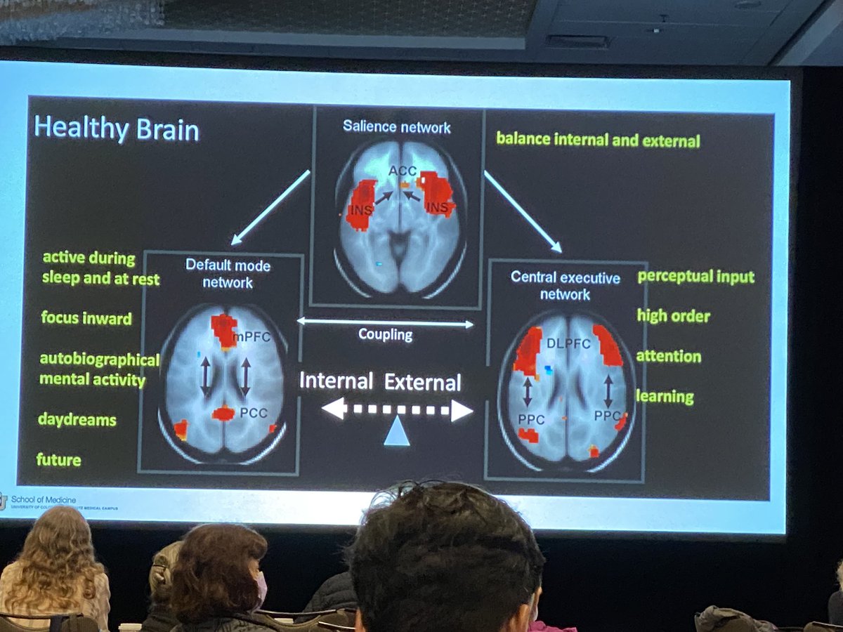 The brilliant <a href="/DrVSPelak/">Victoria Pelak</a> elucidating the connections underlying visual symptoms of cerebral origins #NANOS2022 if you couldn’t come in person catch it on demand!  <a href="/NANOSTweets/">NANOS</a> @MelissaKo16 @kevinelaimd