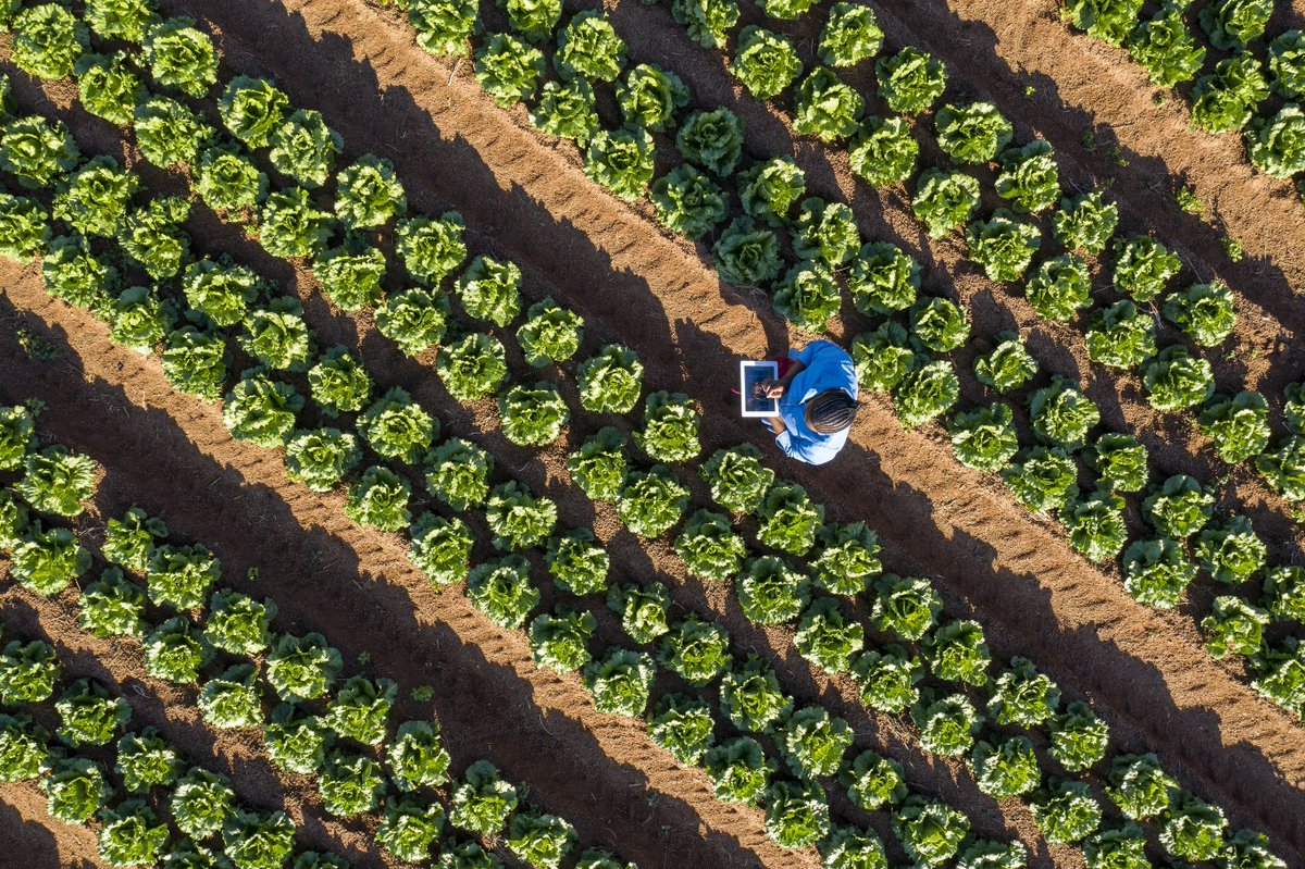 ppiac's tweet photo. #Sostenibilità: progetti green, da #IBM programma #ProBono per sostenere non profit - https://t.co/Wzco6dz2TL https://t.co/6zsltLXoaw via @Adnkronos
#IBMGoodTech https://t.co/nvmpak5mkG