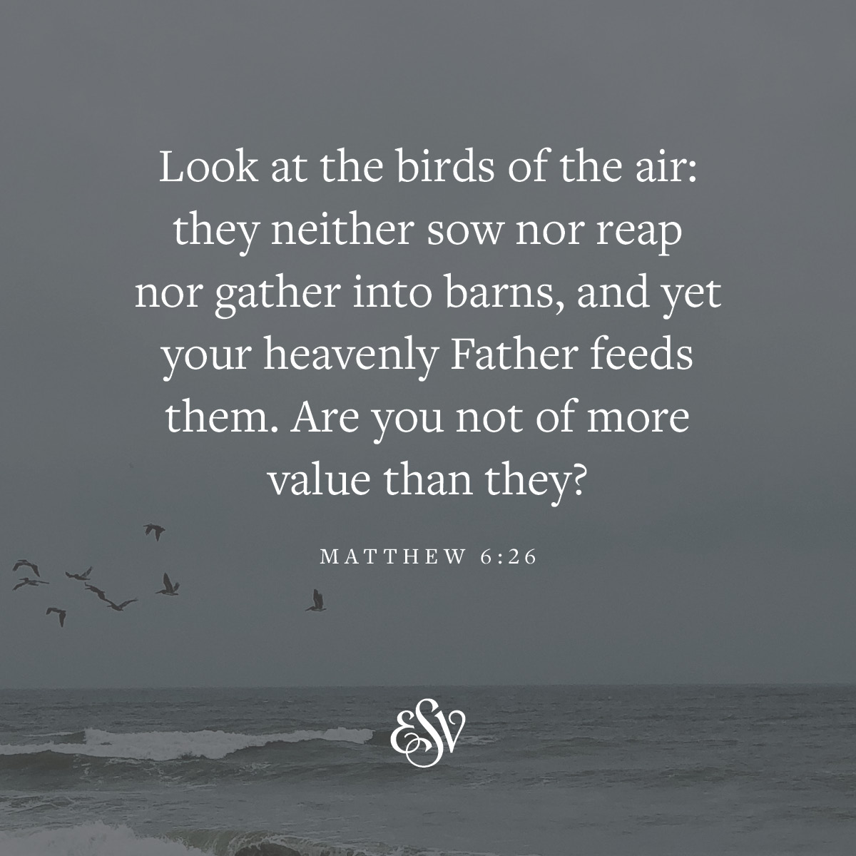 Crossway tweet media