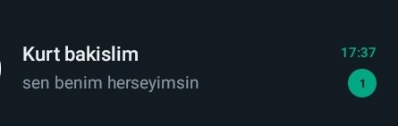 Iste boyle aminakoim