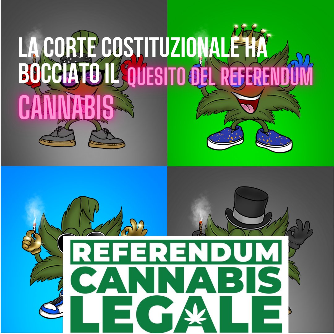 TheWeedRC's tweet photo. La Corte Costituzionale ha dichiarato nan ammissibile il quesito del #ReferendumCannabis  

Se non lo farete voi, lo faremo noi.
#NFTs https://t.co/3vTmd56Sv7