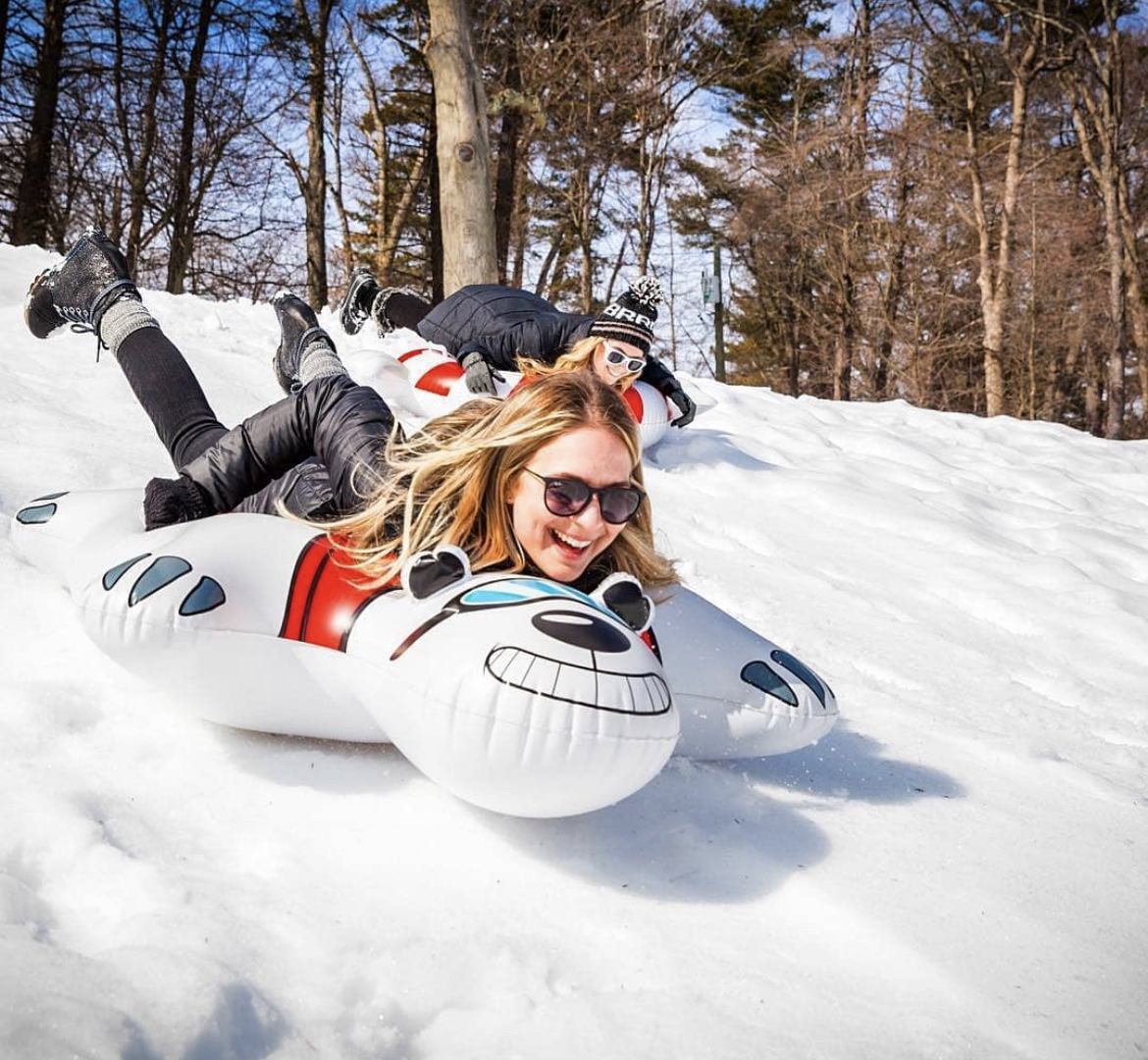 Ride a polar bear without getting eaten on the ice 😜❄️