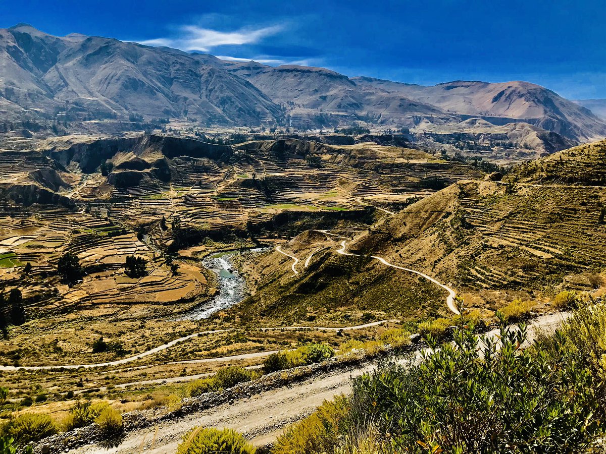 SynergyMusic2's tweet photo. Colca Valley, Peru. 2019,🇵🇪🇵🇪🌄
#Naturephography #Peru #beauty https://t.co/QnAKRjPkW7