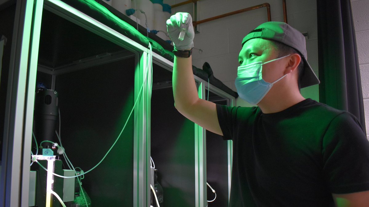 MSUDOEPlantLab's tweet image. Graduate student Yang-Tsung Lin, from @ChBenning's lab, researches how microalga activate different stages of the cell cycle, which has potential applications for future biofuel production and cancer research. #MSUPRL prl.natsci.msu.edu/news-events/ne…