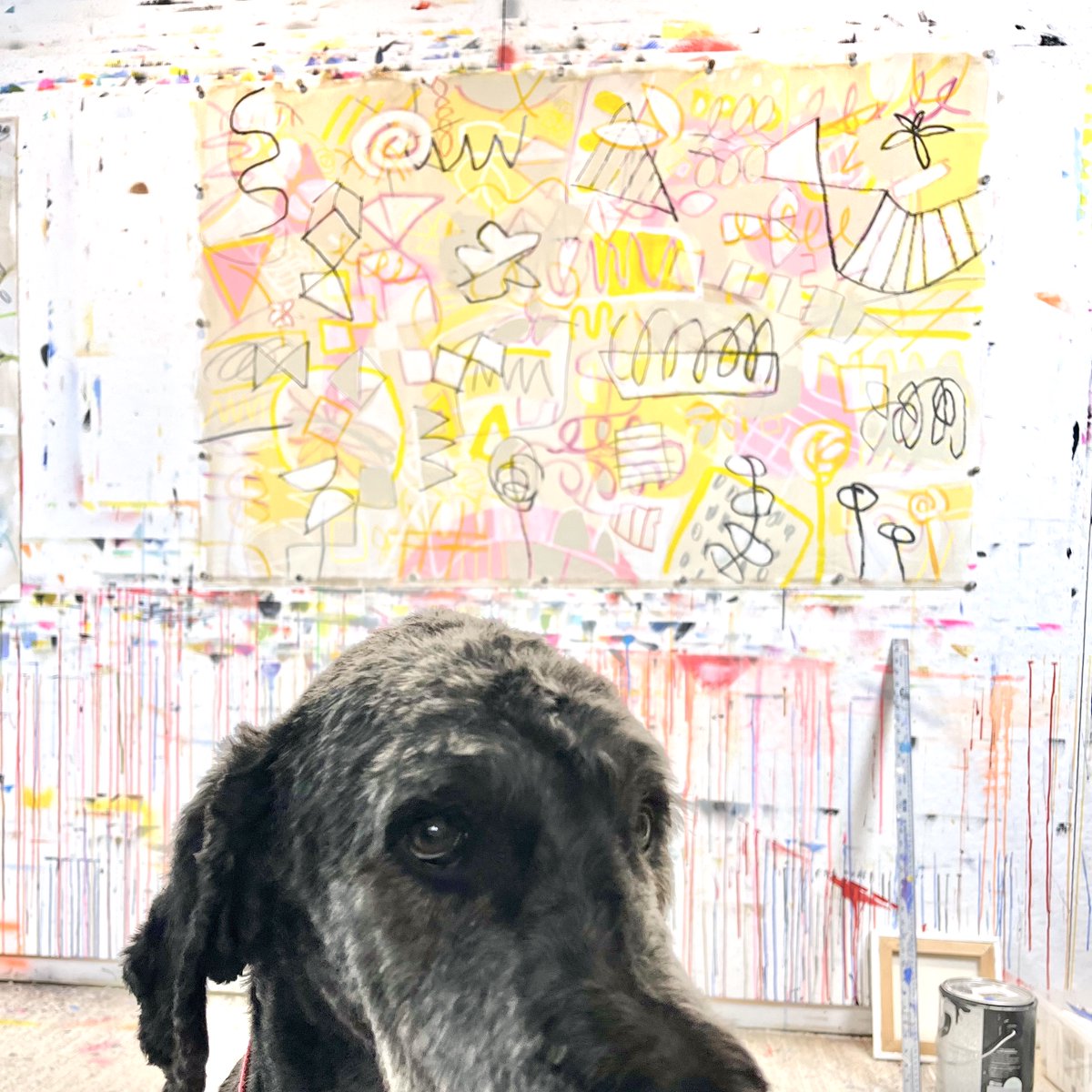 Gm! When your studio mate insists on a walk NOW.😆Make it a great day, frens! #NFTartist #artistprocess #NFTfamily #womenincrypto #abstractpainting #doggie