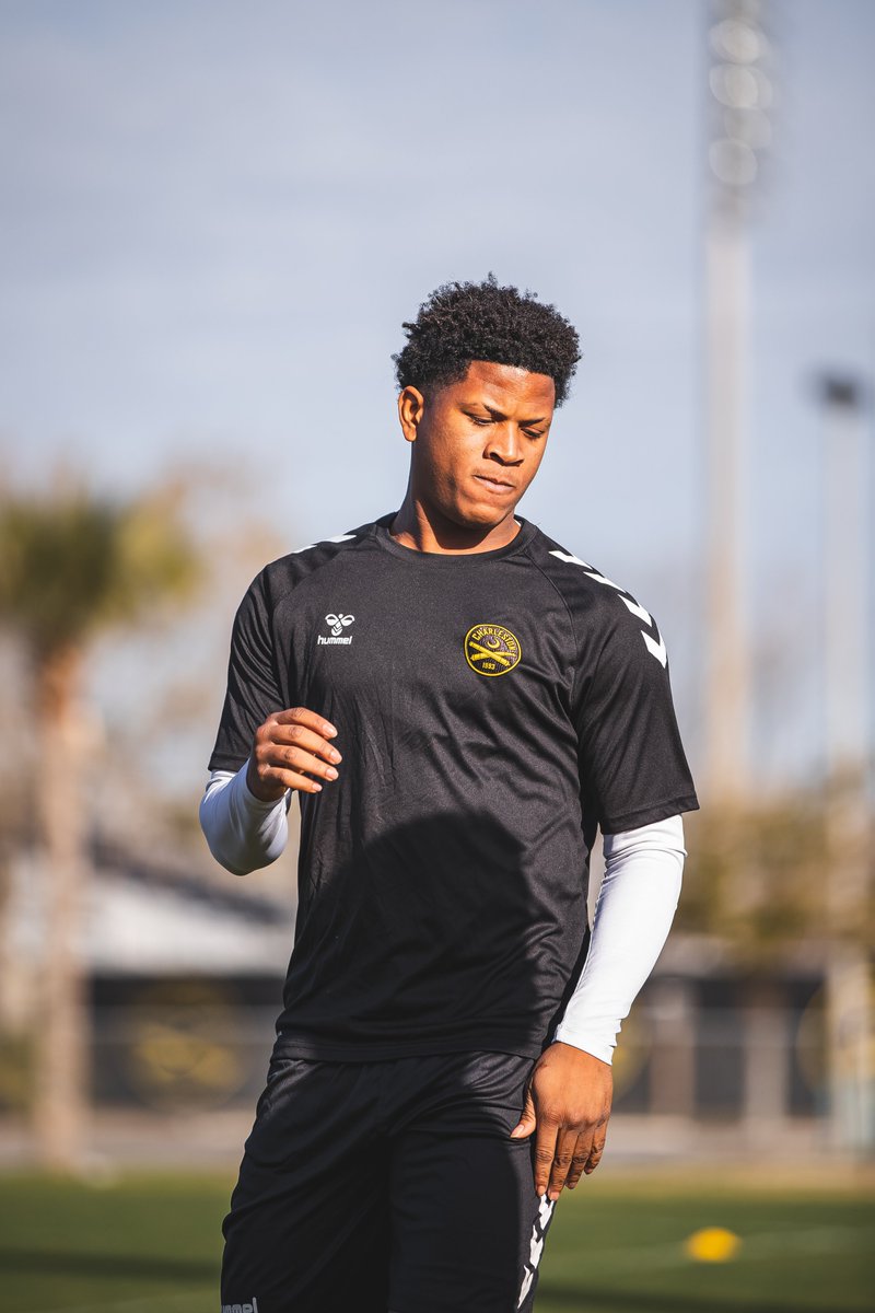 Chas_Battery's tweet photo. 👋 @DaleyNicque 🇯🇲 https://t.co/R1WcG6Hez9