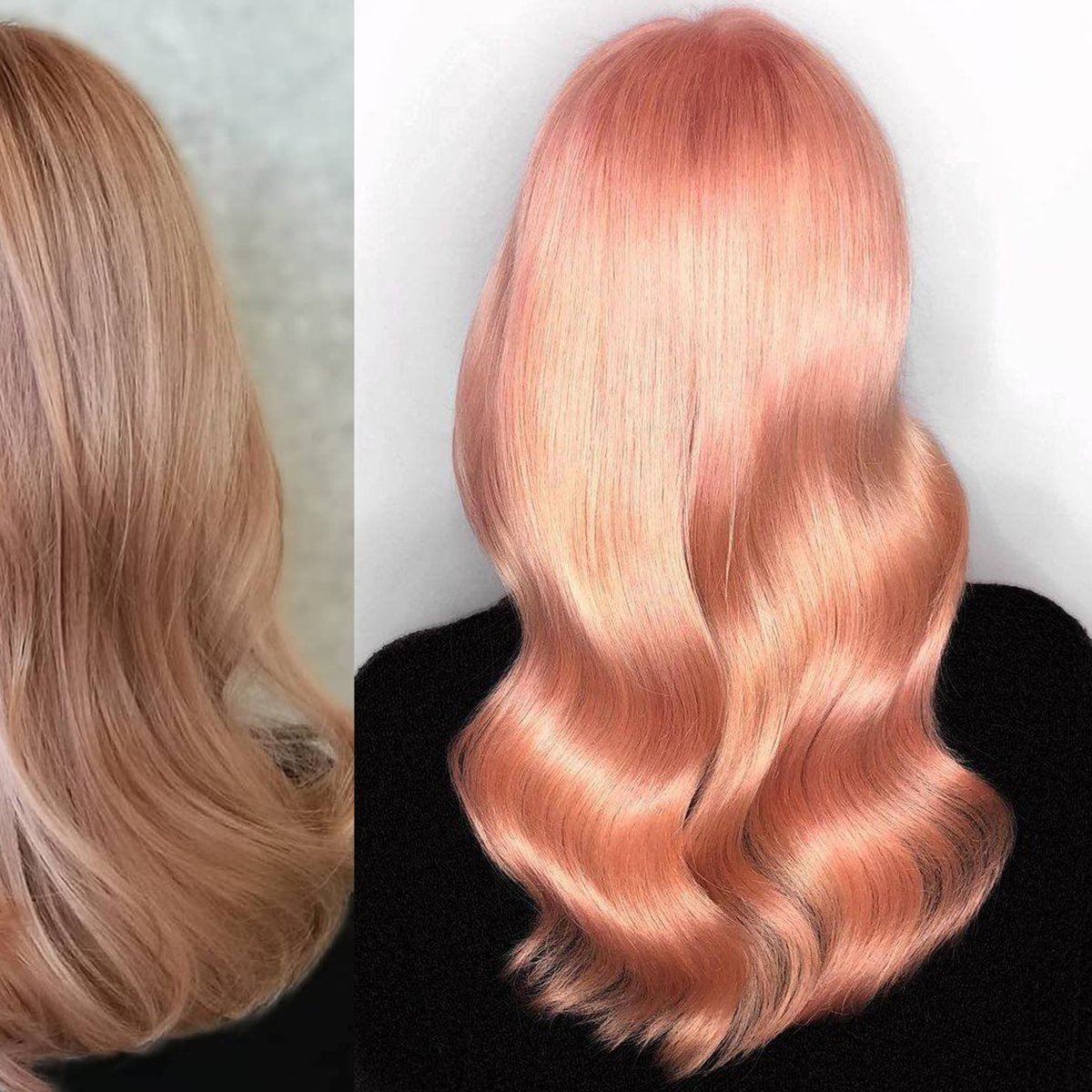 WellaPro's tweet image. Want to give your #WellaBlonde clients the natural glow they deserve? Head to our latest trend hub for some #KolestonPerfect formulas 🧡👉 bit.ly/MirrorHighligh…  #PeachHair

#MirrorLights masterpieces by #Hairstylists Ryan Weeden, Rajana Bardelang and Heather Mackenzie ✨